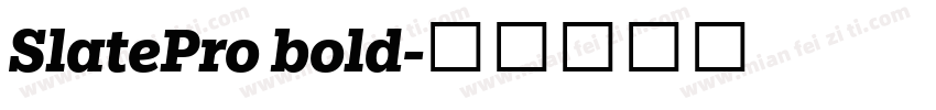 SlatePro bold字体转换